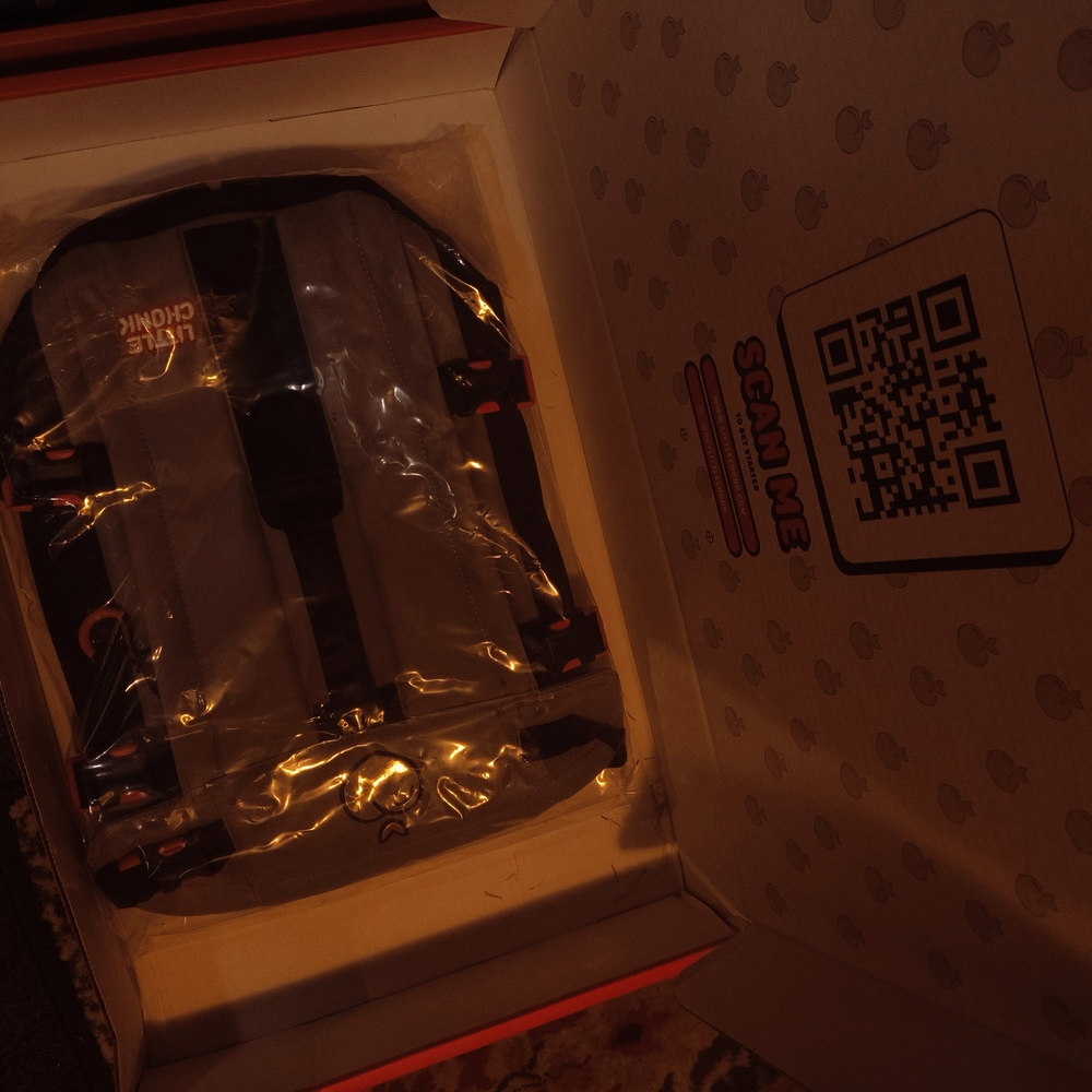 Life Behind Backpack with Red Accents